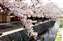 13.JPG
