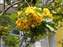 DSCF0070.jpg