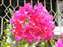 DSCF0074.jpg