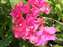 DSCF0075.jpg