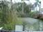 DSCF0535.JPG