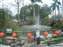 DSCF0536.JPG
