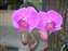 DSCF0540.JPG