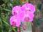 DSCF0542.JPG