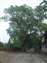 DSCF0564.JPG