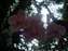 DSCF0567.JPG
