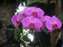 DSCF0572.JPG
