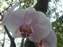 DSCF0573.JPG