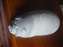 DSCF0574.JPG