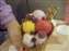 DSCF0617.JPG