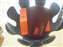DSCF0582.JPG