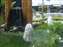 DSCF0645.JPG