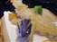 DSCF0673.JPG