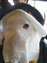 DSCF0703.JPG