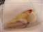 DSCF0913.JPG