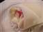 DSCF0914.JPG