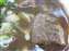 DSCF0184.JPG