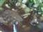 DSCF1032.JPG