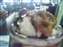 DSCF1036.JPG