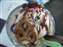 DSCF1038.JPG