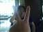 DSCF1045.JPG