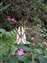 DSCF0387.jpg