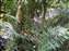 DSCF0417.jpg