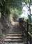 DSCF0428.jpg