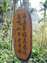DSCF0429.jpg