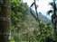 DSCF0437.jpg