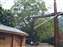DSCF0490.jpg