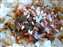 IMG_0035.jpg