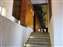 IMG_0339.jpg
