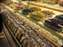 IMG_0412.jpg