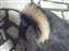 DSCF0104.JPG