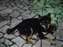 DSCF0144.jpg