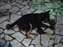 DSCF0149.jpg