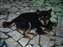 DSCF0152.jpg