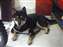 DSCF0163.jpg