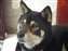 DSCF0164.jpg