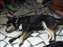 DSCF0167.jpg