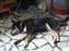 DSCF0168.jpg