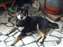 DSCF0169.jpg