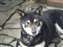 DSCF0170.jpg