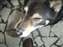 DSCF2310.JPG