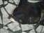 DSCF2312.JPG