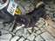 DSCF2315.JPG