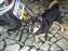 DSCF2316.JPG