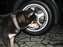 IMG_0503.jpg