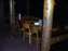 DSCF2087.jpg